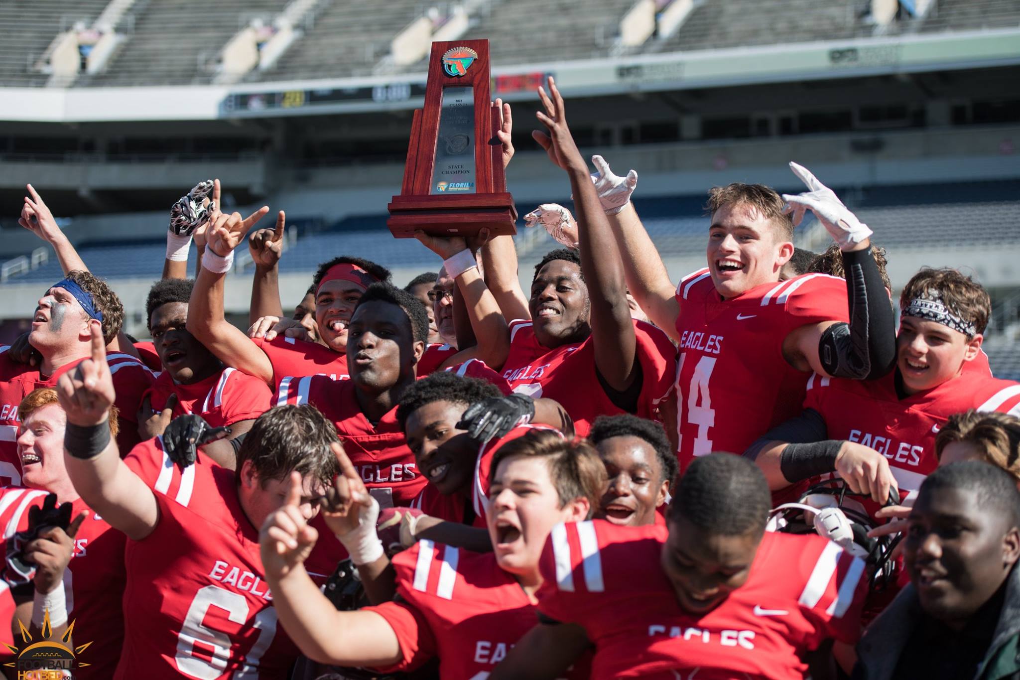 NFC Wins Eighth State Title With 28-20 Win Over Champagnat - Football ...